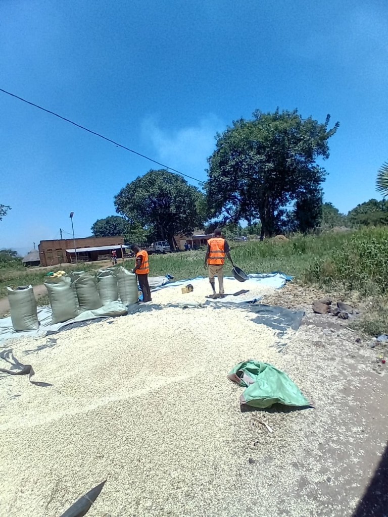 Biretwa grain handling